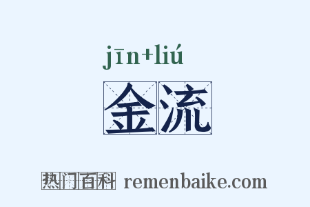 金流是什么意思的图片